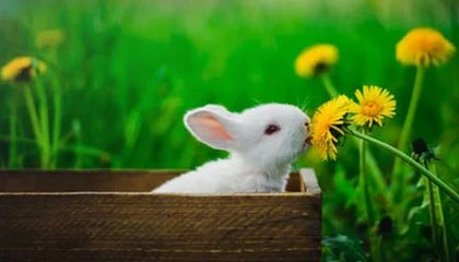 新援加盟！齐米卡斯已经抵达罗马城，即将租借加盟罗马一年